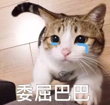 委屈巴巴