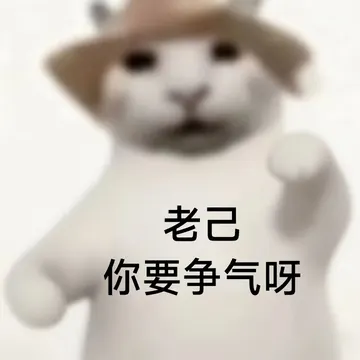 让老己先休息两天(¯ ¨ ¯) 梗图