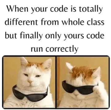 The Unexpected Code Whisperer