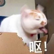 呕!
