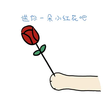 含苞待放的玫瑰