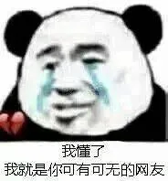 我懂了，我就是你可有可无的网友
