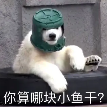 你算哪块小鱼干?