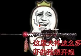 持枪:这里大神这么多.吓得我想开炮