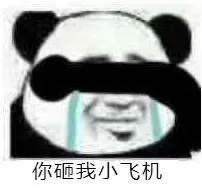 你砸我小飞机