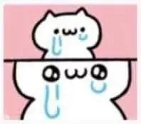 w(流泪了)