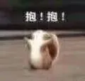 抱!抱!