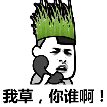 太阳和草的内涵对话……小孩子不要看哟！