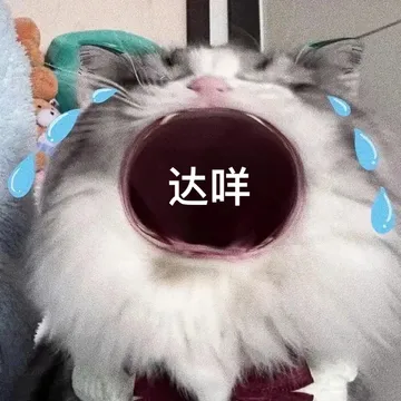 达咩
