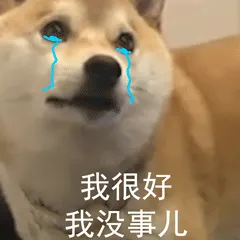 柴犬小Q来斗图