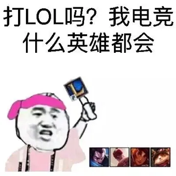 打LOL吗？我电音什么英雄都会