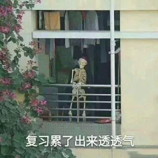 复习累了，出来透透气（骷髅）