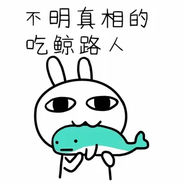 不明真相的吃鲸路人