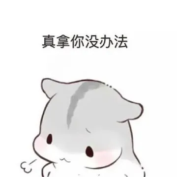 仓鼠小猫