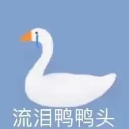 流泪鸭鸭头