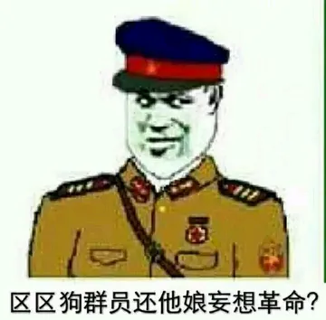 区区狗群员还他娘的妄想革命?