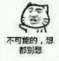 不可能的，想都别想