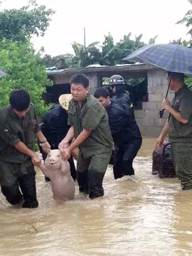 你：我不要面子的啊？