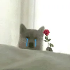 老婆 我错了
