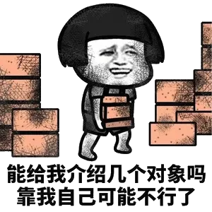 能给我介绍几个对象吗？靠我自己可能不行了