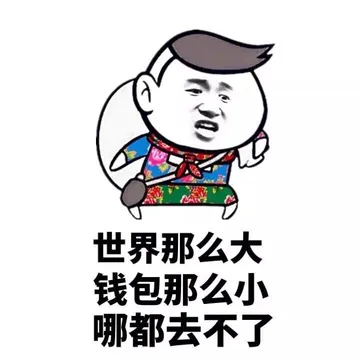 世界那么大，钱包那么小，哪都去不了
