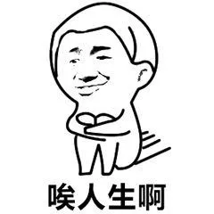 唉，人生啊
