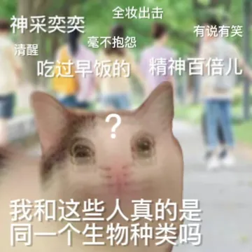 全妆出击神采奕奕有说有笑清醒毫不抱怨吃过早饭的精神百倍儿我和这些人真的是同一个生物种类吗