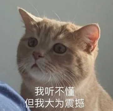 我听不懂但我大为震撼