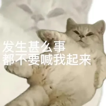 发生甚么事都不要喊我起来