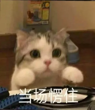 当场愣住
