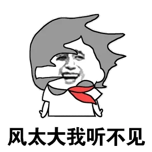 风太大我听不见