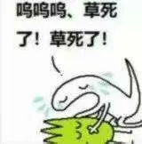 呜呜呜.草死了!草死了!