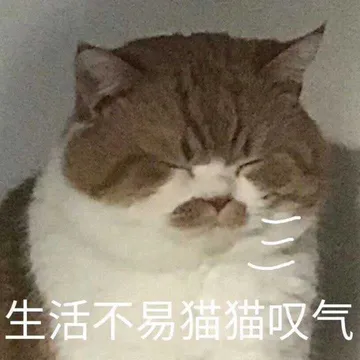生活不易.猫猫叹气