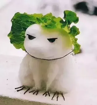 旅行青蛙(菜叶白雪版)