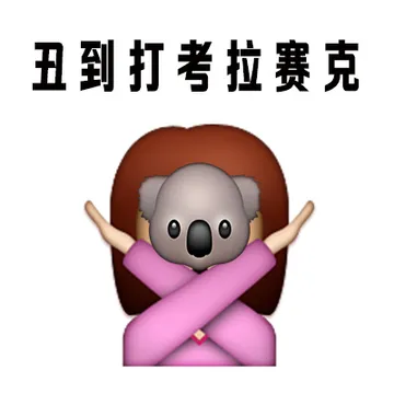 丑到打考拉赛克