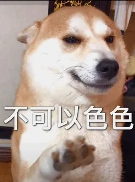 不可以色色表情包-可以色色（柴犬）