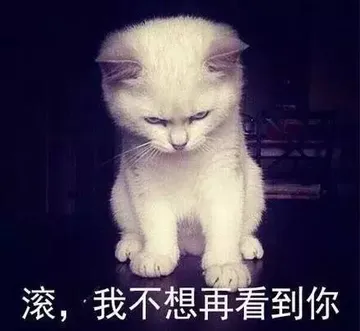 滚，我不想再看到你