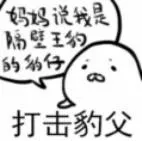 妈妈说我是隔壁的王豹的豹仔