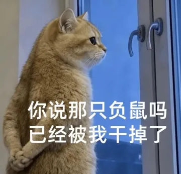 负鼠00013-你说那只负鼠吗已经被我干掉了
