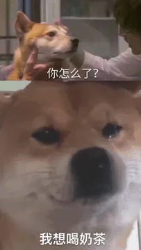你怎么了？我想喝奶茶