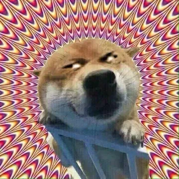 柴犬