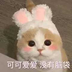 可可爱爱.没有脑袋
