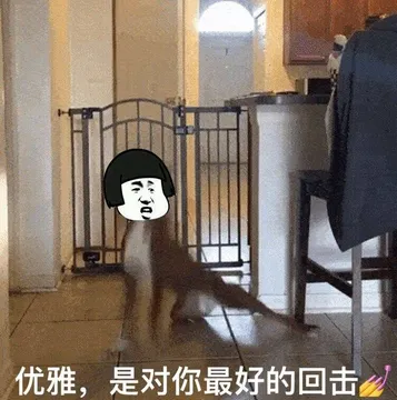 优雅，是对你最好的回击多