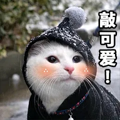 敲可爱