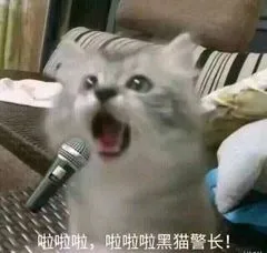 啦啦啦.啦啦啦黑猫警长!