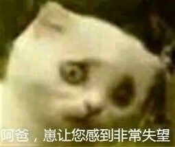 阿爸，仔让您感到非常失望