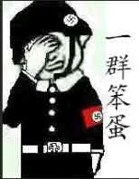 捂脸笑：一群笨蛋