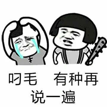 叼毛有种再说一遍