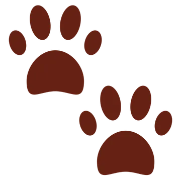 Paw prints