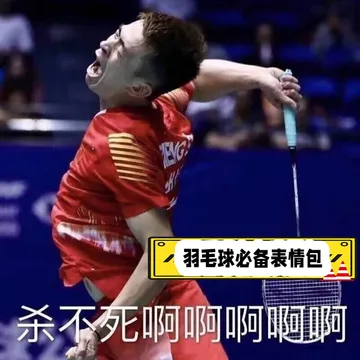 羽毛球必备表情包